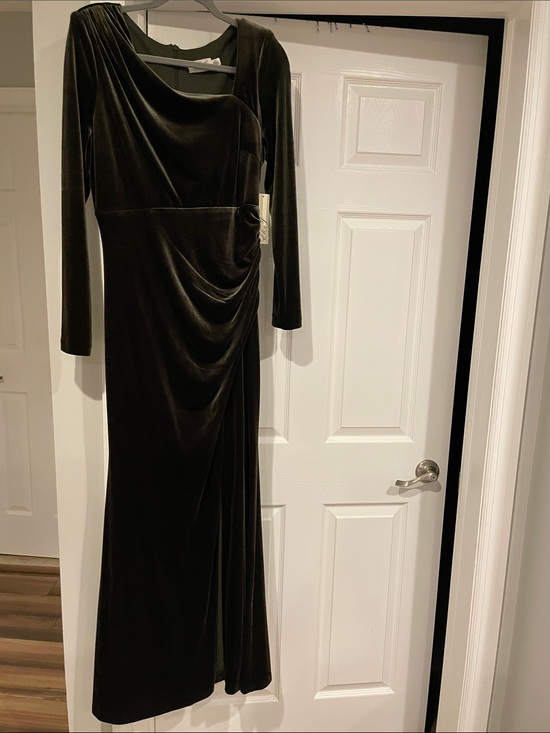 Eliza J Dresses & Skirts - Eliza J Olive Velvet Ruched Long-Sleeve Gown
